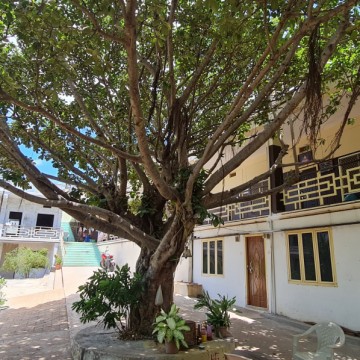 Srisailam Hindu Mala Anna Trust