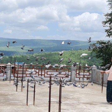 Srisailam Hindu Mala Anna Trust